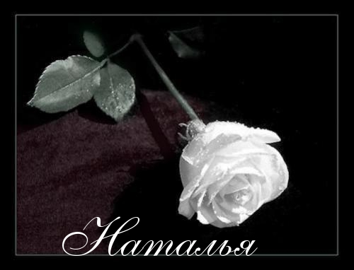 Открытки с именем Наталья с анимациями. Скачать бесплатно открытки с именем Н...