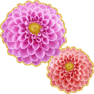 Открытки с георгинами скачать бесплатно. Открытки с георгинами онлайн.