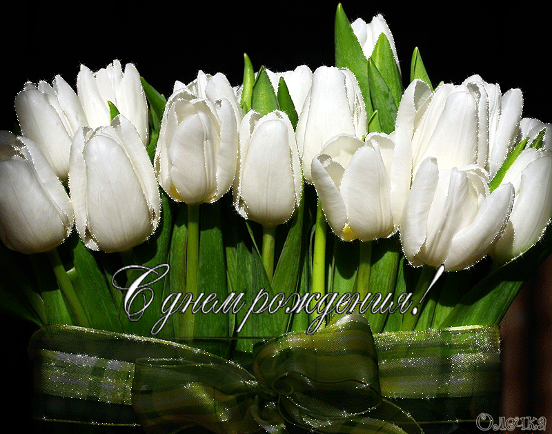 Открытки с белыми тюльпанами gif. Открытки с белыми тюльпанами скачать.