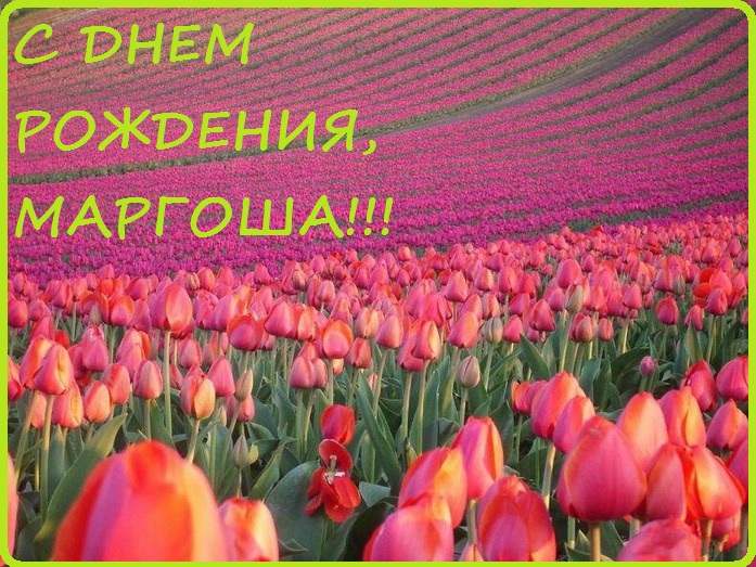 Открытки с именем Маргарита скачать бесплатно. Открытки с именем Маргарита gif.