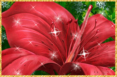 Открытки с красной лилией скачать. Анимационные открытки с красной лилией. 