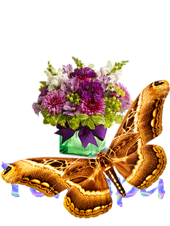 Красивые открытки с именем Тамара. Открытки с именем Тома скачать бесплатно.