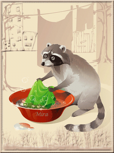 Открытки с енотами скачать бесплатно. Открытки с енотами gif.