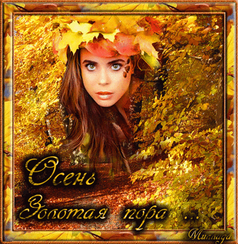 Открытки Золотая осень скачать бесплатно. Открытки Золотая осень gif.