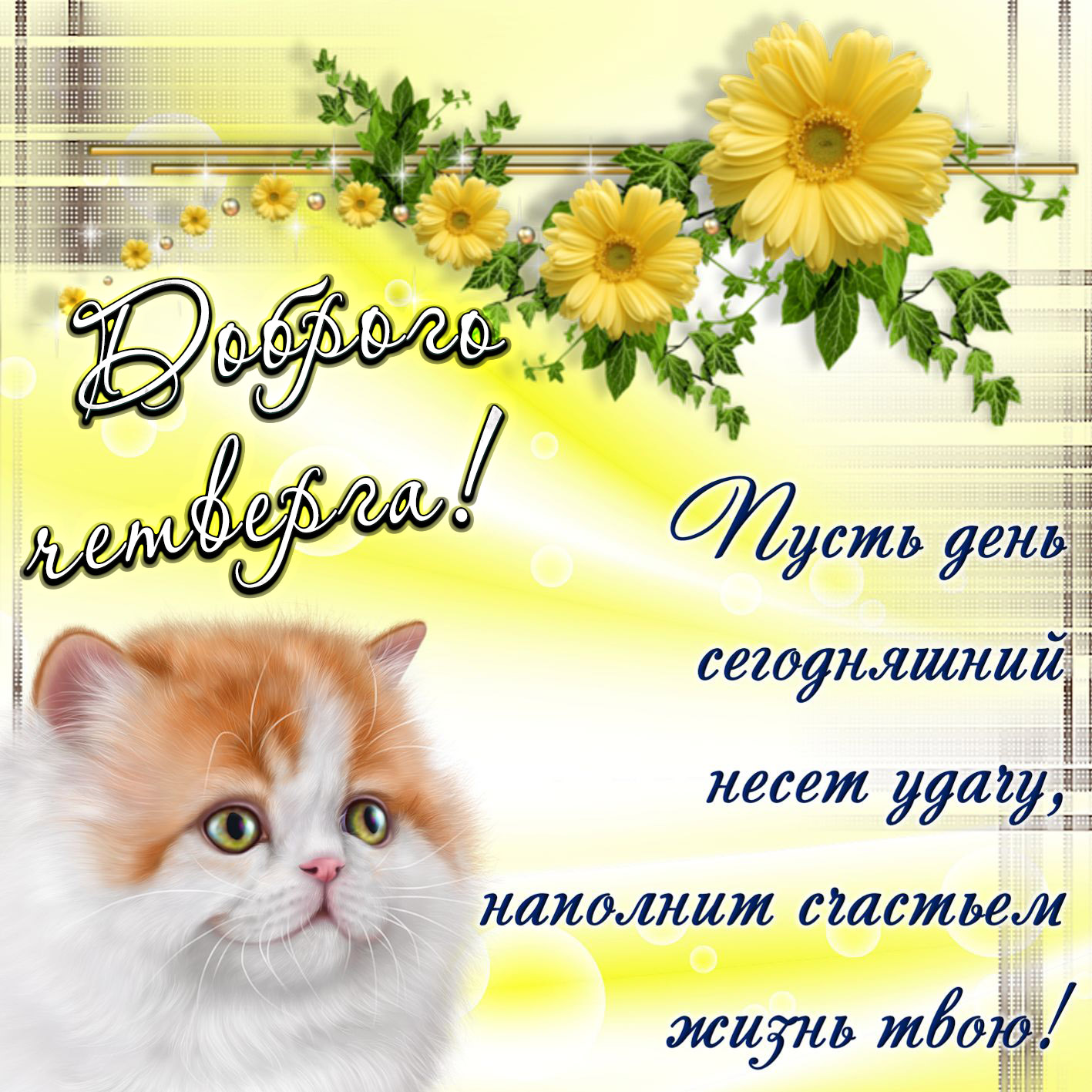 Привет четверг. Открытки с приколами и пожеланиями на четверг