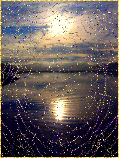 Открытки с паутиной с анимациями. Открытки с паутиной скачать.