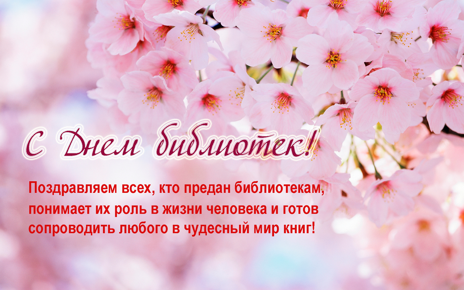 Открытки с днём библиотек скачать. Открытки с днём библиотек коллеге.