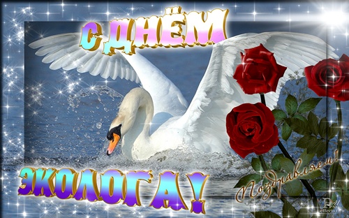 Открытки с днём охраны окружающей среды скачать бесплатно.   