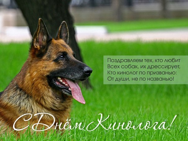 Открытки с днём кинолога скачать бесплатно. Открытки с днём кинолога 21 июня.