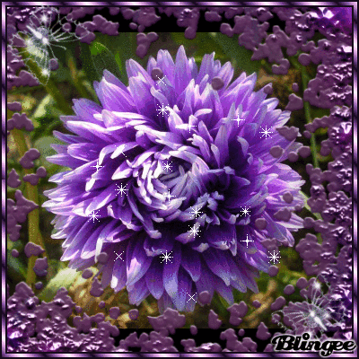 Открытки с хризантемами скачать бесплатно. Открытки с хризантемами онлайн.