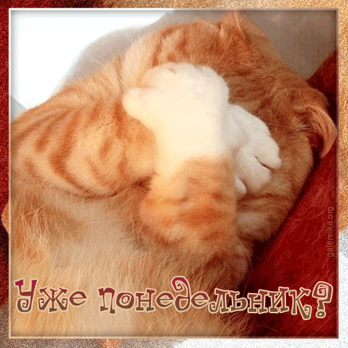 Открытки на понедельник скачать. Открытки на понедельник бесплатно.