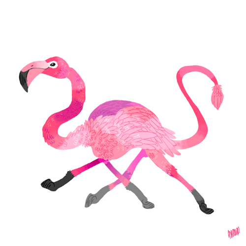 Открытки с фламинго с анимациями. Открытки с фламинго скачать.