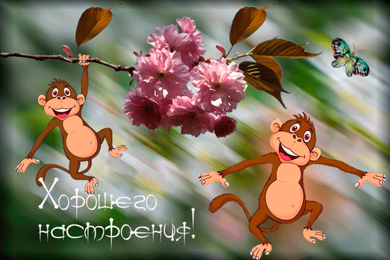 Самые лучшие Открытки хорошего настроения скачать бесплатно.