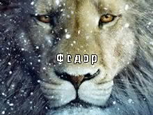 Открытки с именем Фёдор скачать бесплатно. Открытки с именем Фёдор gif.