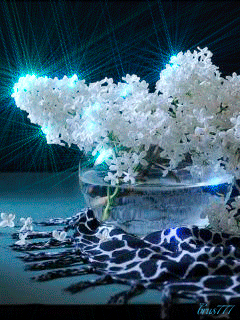 Открытки с белой сиренью анимационные. Открытки с белой сиренью gif.