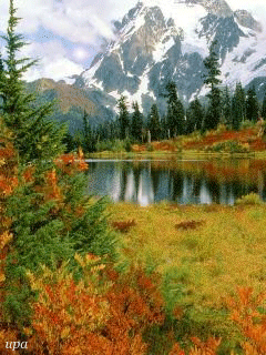 Открытки с озёрами с анимациями. Открытки с озёрами скачать.