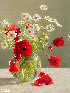 Открытки с букетом маков скачать бесплатно. Открытки с букетом маков онлайн.