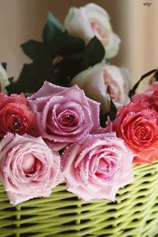 Открытки с розами в корзине скачать бесплатно. Открытки с розами в корзине gif.
