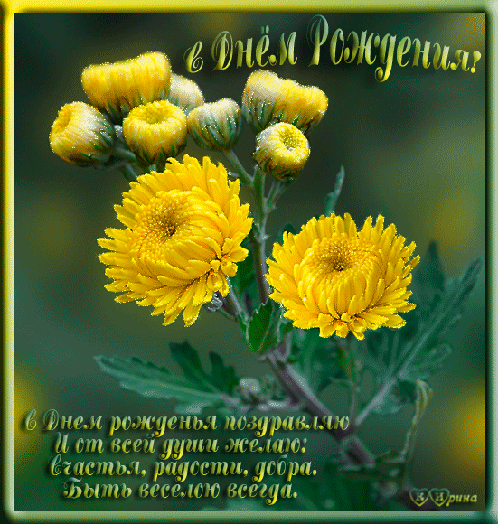 Открытки с хризантемами скачать бесплатно. Открытки с хризантемами онлайн.