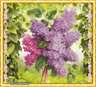 Открытки с букетом сирени скачать бесплатно. Открытки с букетом сирени онлайн. 