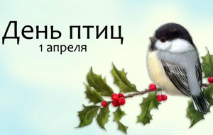 Открытки с днём птиц скачать бесплатно. Открытки с днём птиц с анимациями.
