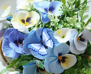 Открытки с разноцветными анютиными глазками скачать бесплатно.