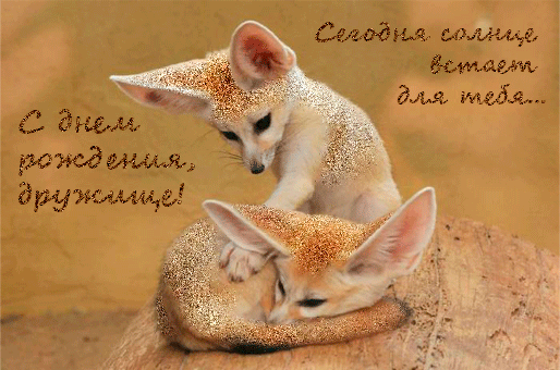 Открытки с лисичками скачать бесплатно. Открытки с лисичками gif.