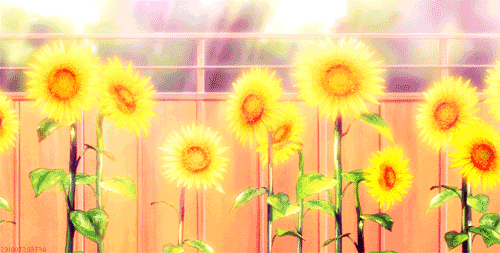 Открытки с подсолнухами в поле скачать бесплатно. Открытки с подсолнухами в п...