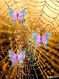 Открытки с паутиной с анимациями. Открытки с паутиной скачать.