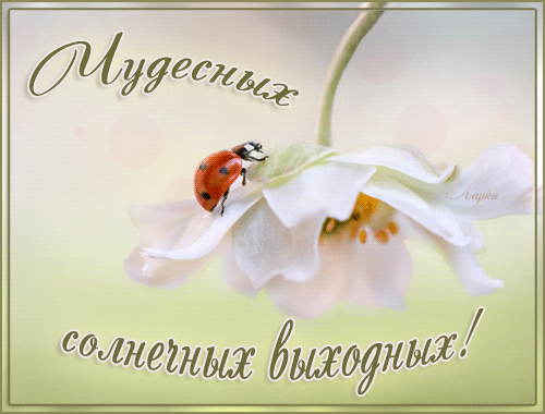 Открытки на выходные скачать. Хороших выходных открытки бесплатно.