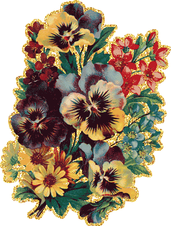 Открытки с разноцветными анютиными глазками скачать бесплатно.