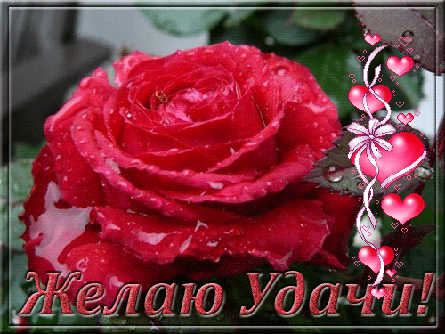 Красивые анимационные открытки желаю удачи скачать бесплатно.