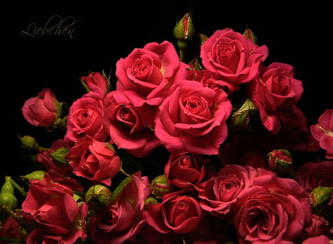 Открытки с красными розами скачать. Открытки с красными розами с пожеланиями.