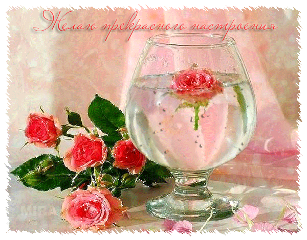 Скачать бесплатно анимационные открытки с цветами. Красивые открытки с цветами.