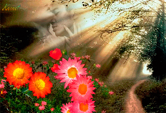 Открытки с весенним лесом скачать бесплатно. Открытки с весенним лесом онлайн.