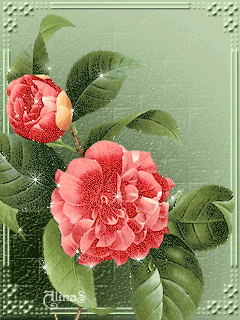 Открытки с пионами в саду скачать бесплатно. Открытки с пионами в саду онлайн.