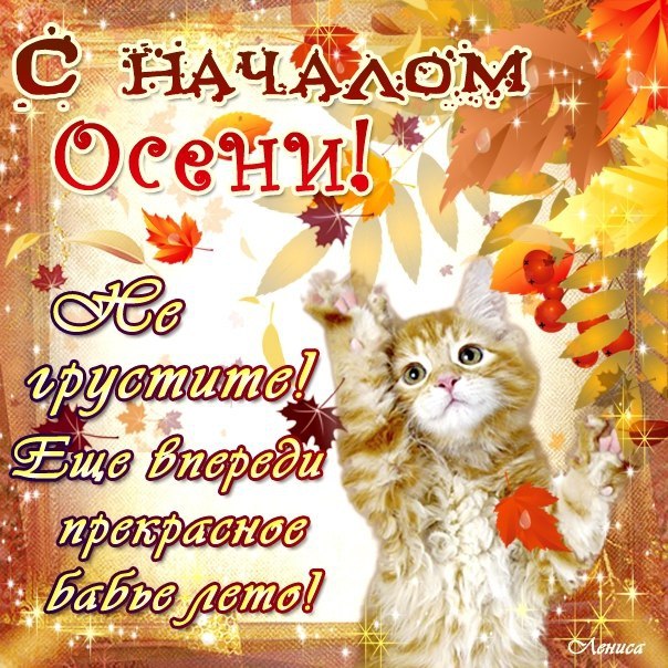 Открытки с первым днём осени скачать бесплатно. Красивые Открытки с первым дн...