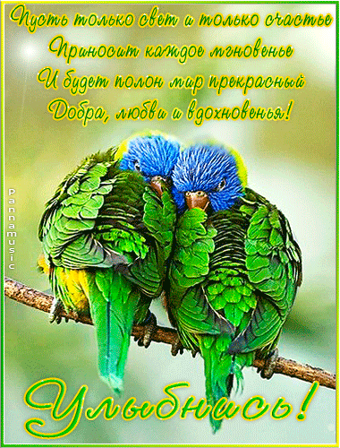 Открытки с улыбкой скачать. Анимацинные Открытки улыбнись скачать бесплатно.