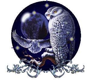 Открытки с совами скачать. Открытки с совами бесплатно онлайн.