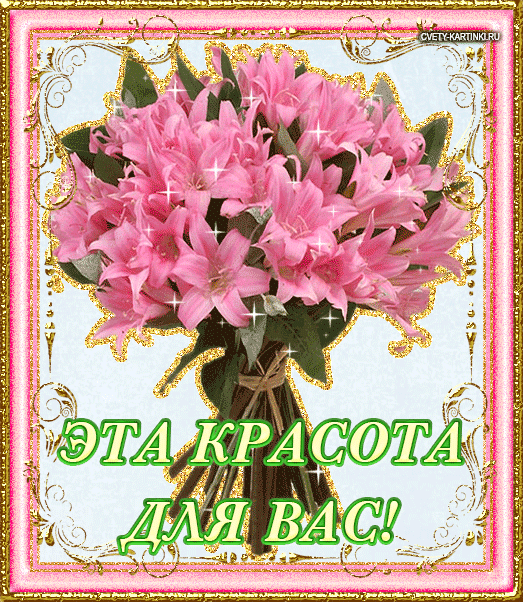 Привет лиля красивые картинки