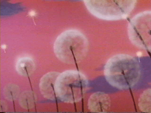 Открытки с белыми одуванчиками gif. Скачать открытки с белыми одуванчиками.