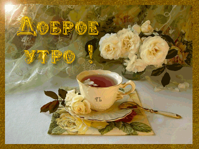 Открытки на каждый день с пожеланием доброго утра. Скачать открытки бесплатно.
