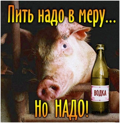 Открытки с днём рождения русской водки скачать бесплатно.    