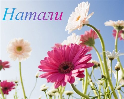 Открытки с именем Наталья с анимациями. Скачать бесплатно открытки с именем Н...