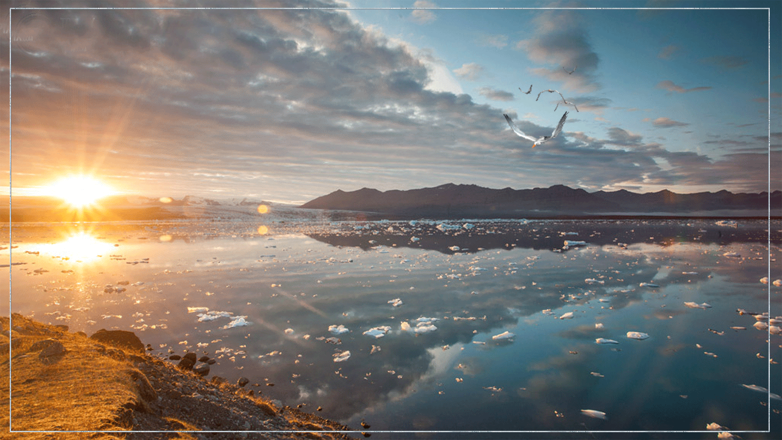 Открытки с парящими в небе птицами скачать бесплатно. Открытки с парящими в н...