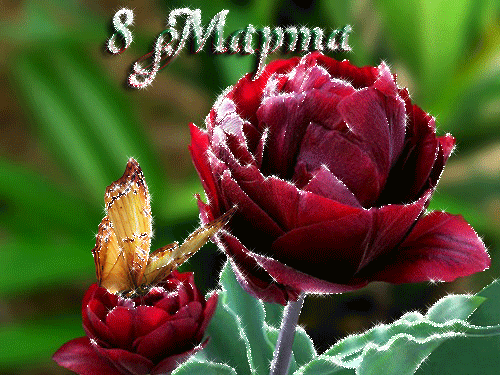 Скачать Открытки с 8 марта. Поздравления Международный Женский День.