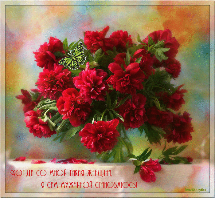 Открытки с красными пионами скачать. Открытки с красными пионами онлайн.