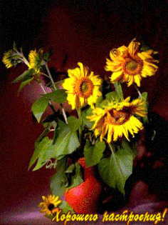 Открытки с подсолнухами скачать бесплатно. Открытки с подсолнухами gif.