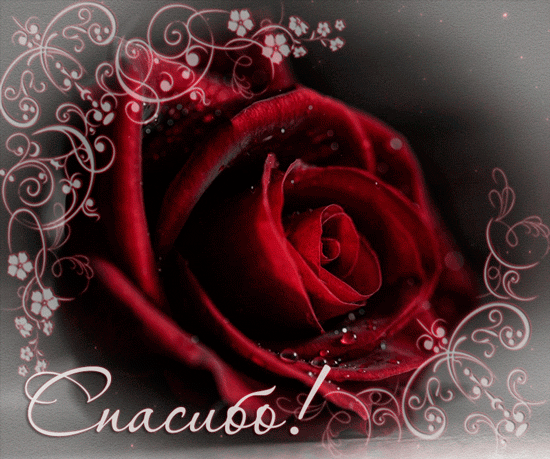 Красивые открытки с благодарностью. Открытки с надписью спасибо.