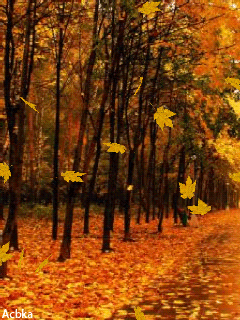 Открытки с листопадом скачать. Открытки с листопадом бесплатно.